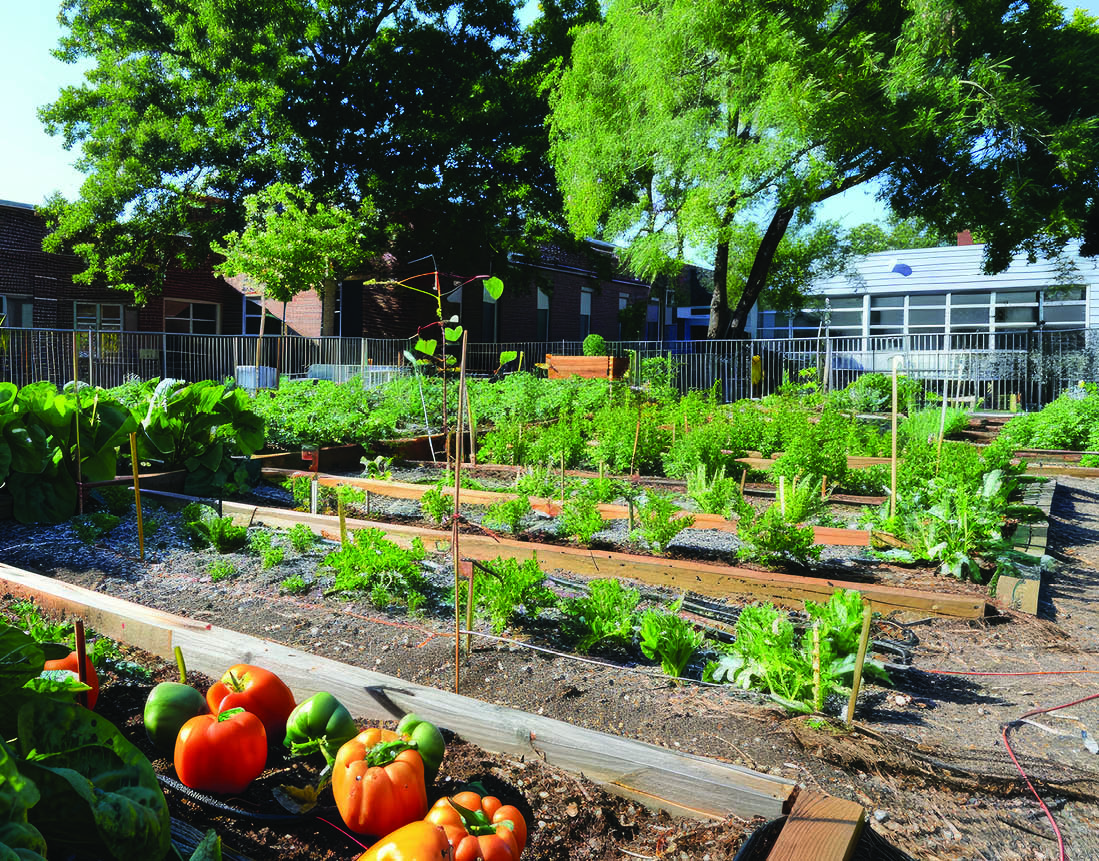 Clinton School Impact Minute: Delta Garden Study - Clinton School of ...